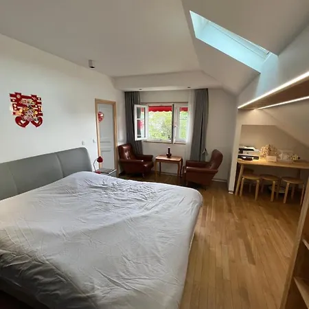 4 Chambres Avec Jardin Proche Paris Villa Le Vésinet